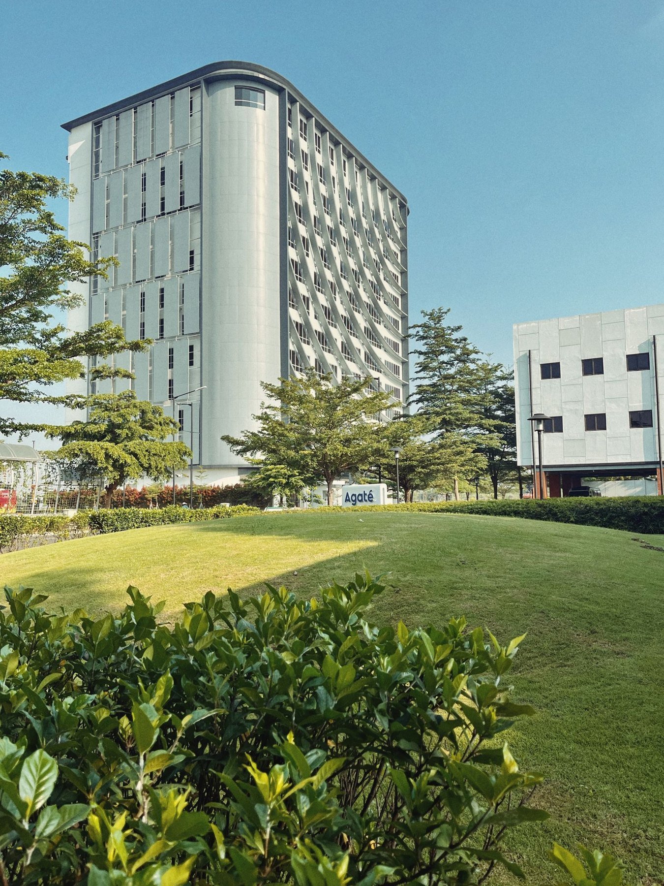 Landscaped grounds with structured planting and pedestrian access
